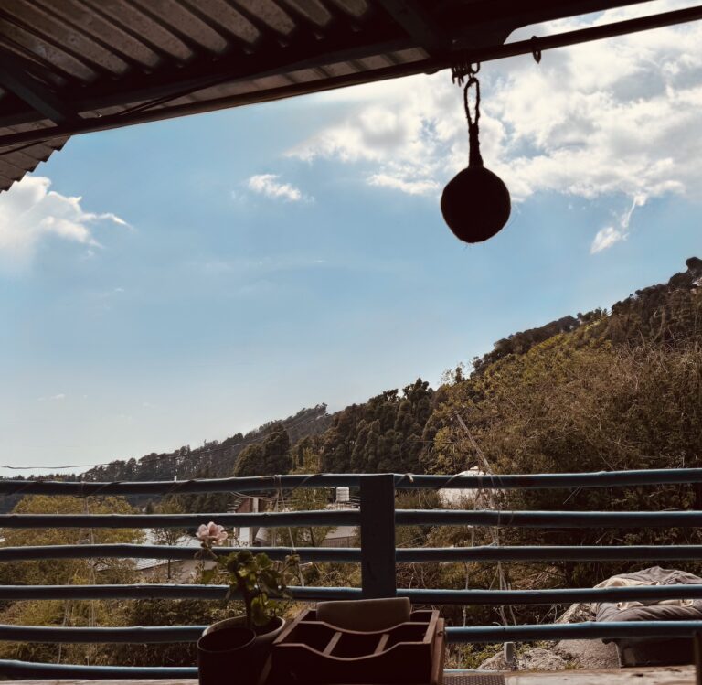 The Birdhouse Cakery